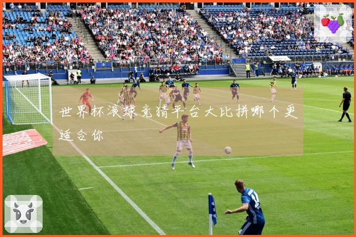 世界杯滚球竞猜平台大比拼哪个更适合你