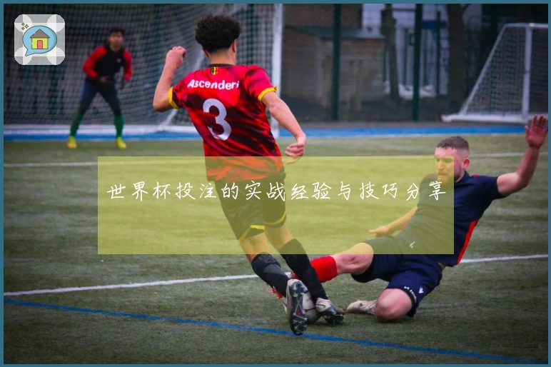 世界杯投注的实战经验与技巧分享