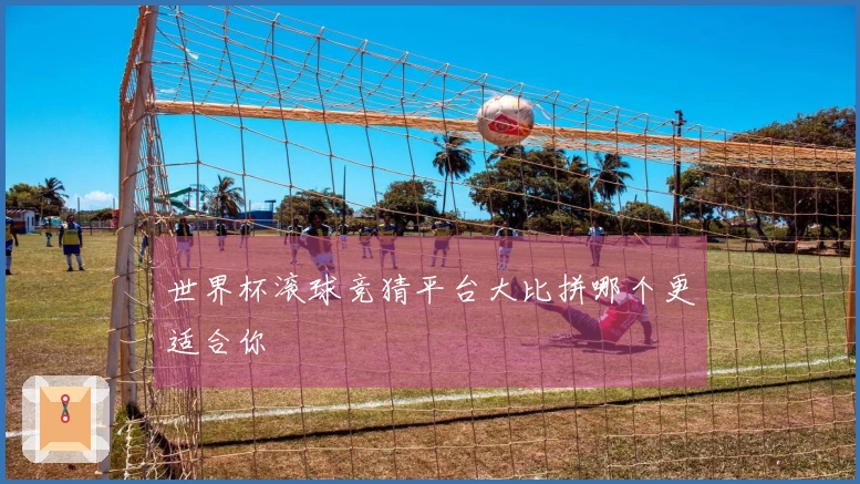 世界杯滚球竞猜平台大比拼哪个更适合你