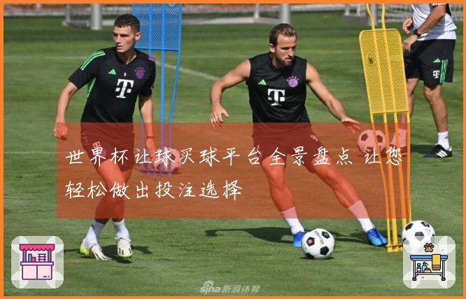 世界杯让球买球平台全景盘点 让您轻松做出投注选择