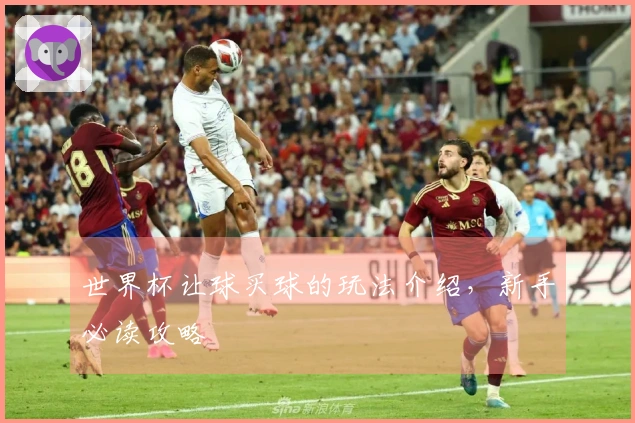世界杯让球买球的玩法介绍，新手必读攻略