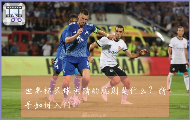 世界杯买球竞猜的规则是什么？新手如何入门？
