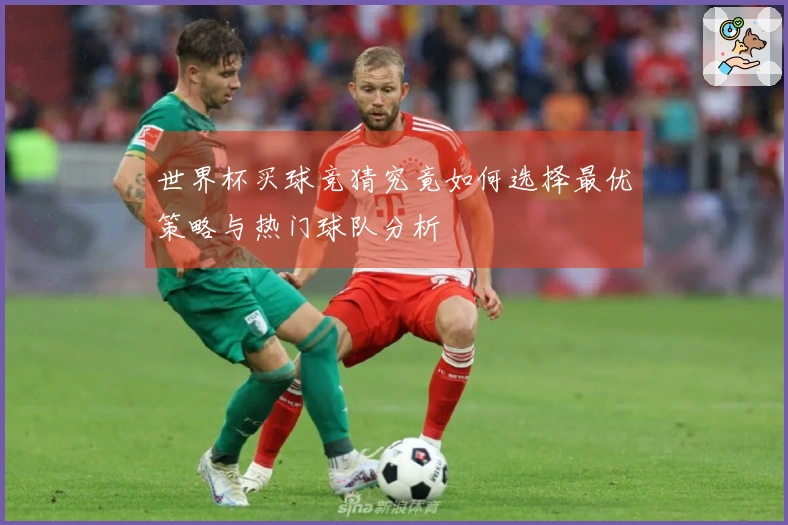 世界杯买球竞猜究竟如何选择最优策略与热门球队分析