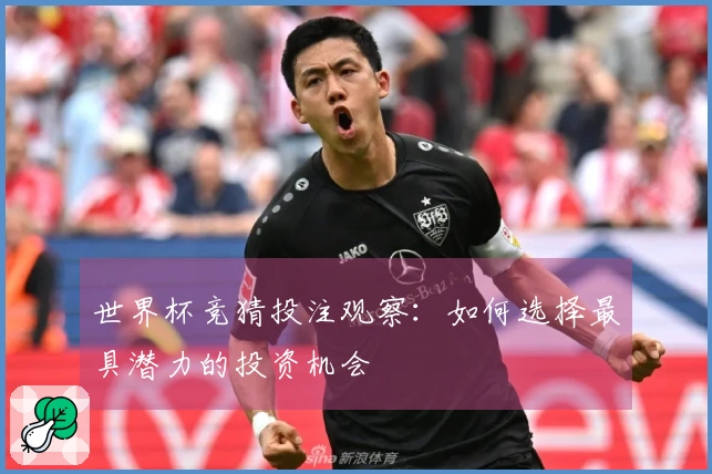世界杯竞猜投注观察：如何选择最具潜力的投资机会